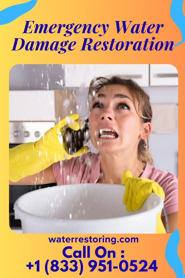 Emergency Water Damage Restoration in Plymouth, IA