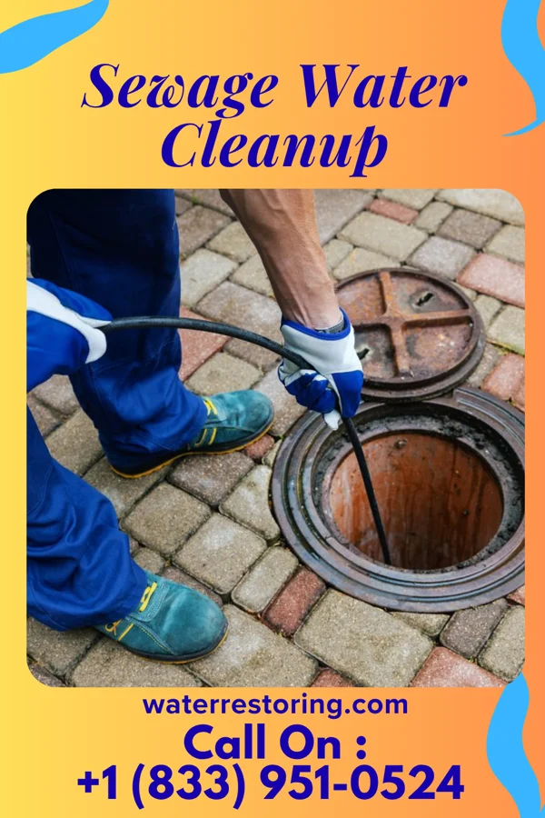 Sewage Water Cleanup in Plymouth, IA